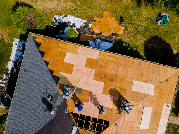 Gutter Installation and Roofing in Livingston, AL