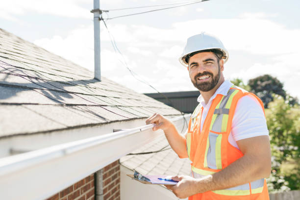 Best Roof Gutter Cleaning  in Livingston, AL