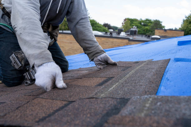 Best Gutter Installation and Roofing  in Livingston, AL