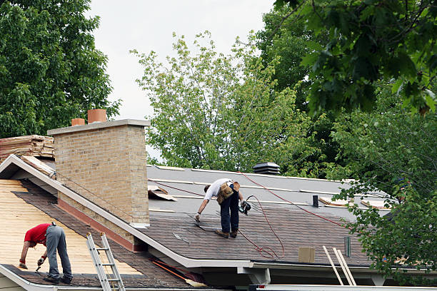 Best New Roof Installation  in Livingston, AL