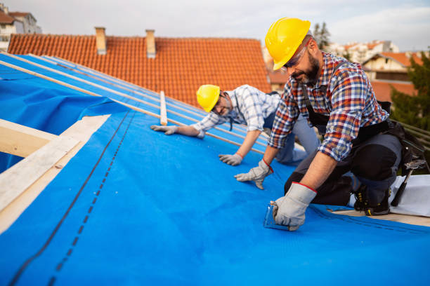 Best Roof Leak Repair  in Livingston, AL