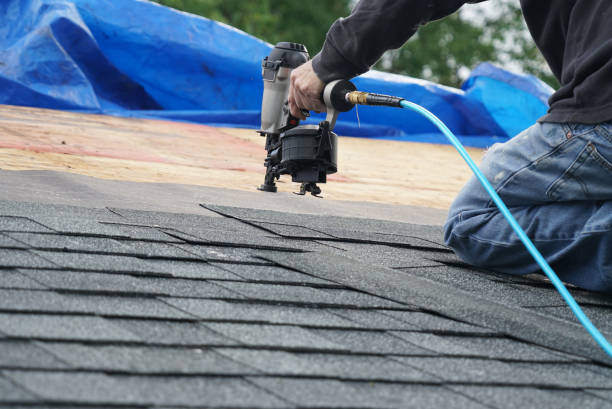 Best Roof Gutter Cleaning  in Livingston, AL