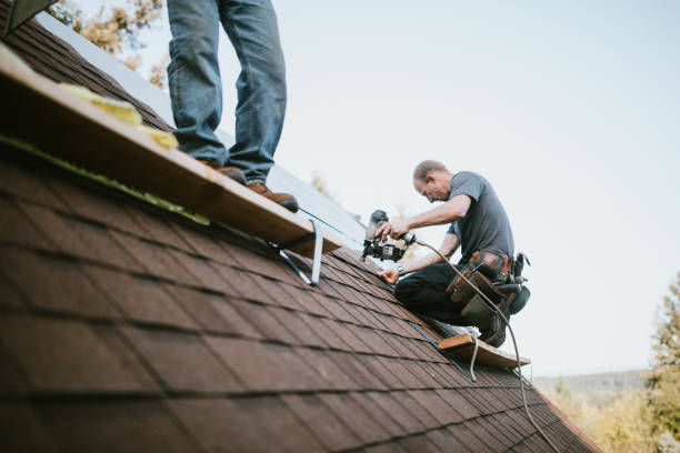 Quick and Trustworthy Emergency Roof Repair Services in Livingston, AL