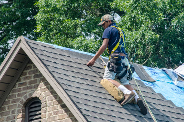 Best Emergency Roof Repair  in Livingston, AL